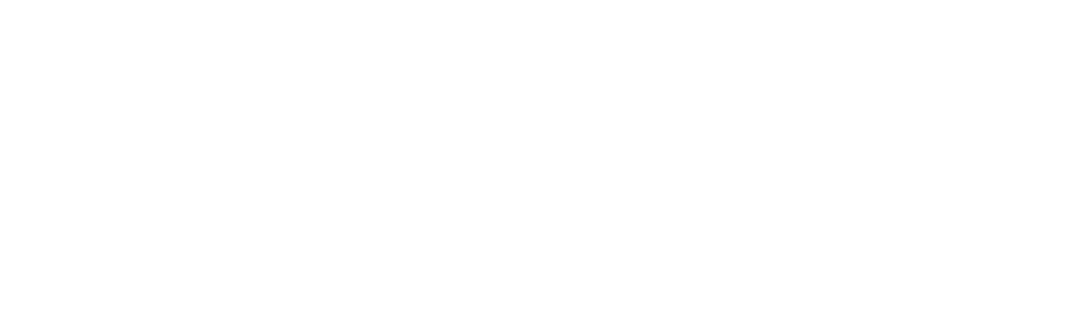 CD Marketing Experience